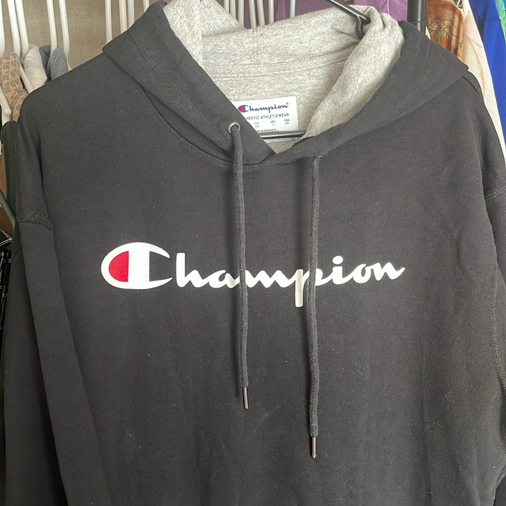 Champion Large - Picture 2 of 4